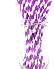 Purple Stripe Paper Eco Straws - Normal length 200mm/6mm - 250 straws pack